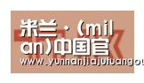 米兰合作伙伴二