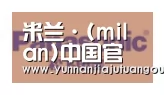 米兰合作伙伴四