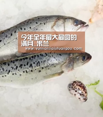 今年全年最大最圆的满月_米兰(图3) 米兰