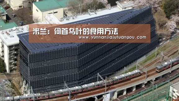 米兰·(milan)中国官方网站
