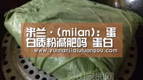 米兰·(milan)：蛋白质粉减肥吗 蛋白质粉减肥法 食用蛋白粉4误区(图1)