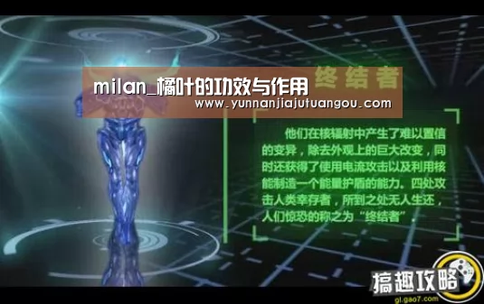 milan_橘叶的功效与作用(图2) 米兰·(milan)中国官方网站