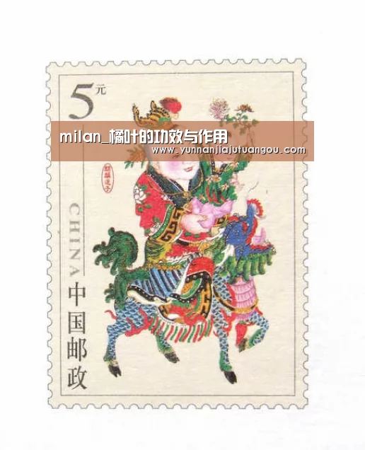 milan_橘叶的功效与作用(图1) milan_橘叶的功效与作用(图1)