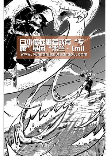 日本癌症患者或有“专属”基因“米兰·(milan)中国官方网站”(图2) 米兰·(milan)中国官方网站