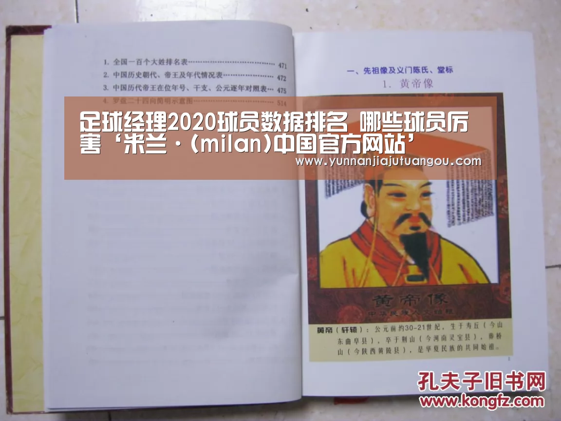 足球经理2020球员数据排名 哪些球员厉害‘米兰·(milan)中国官方网站’(图2) 米兰·(milan)中国官方网站