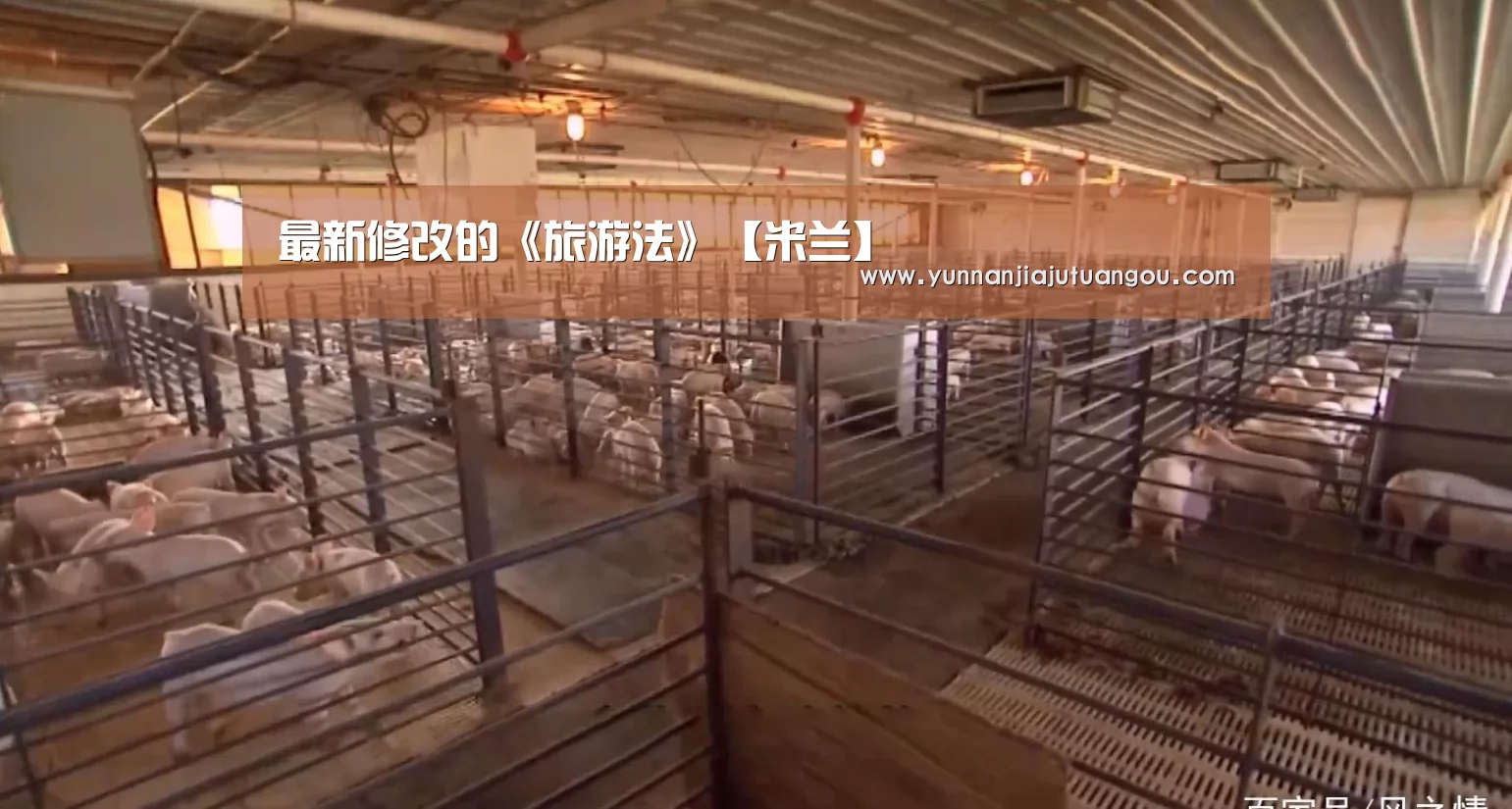 米兰·(milan)中国官方网站